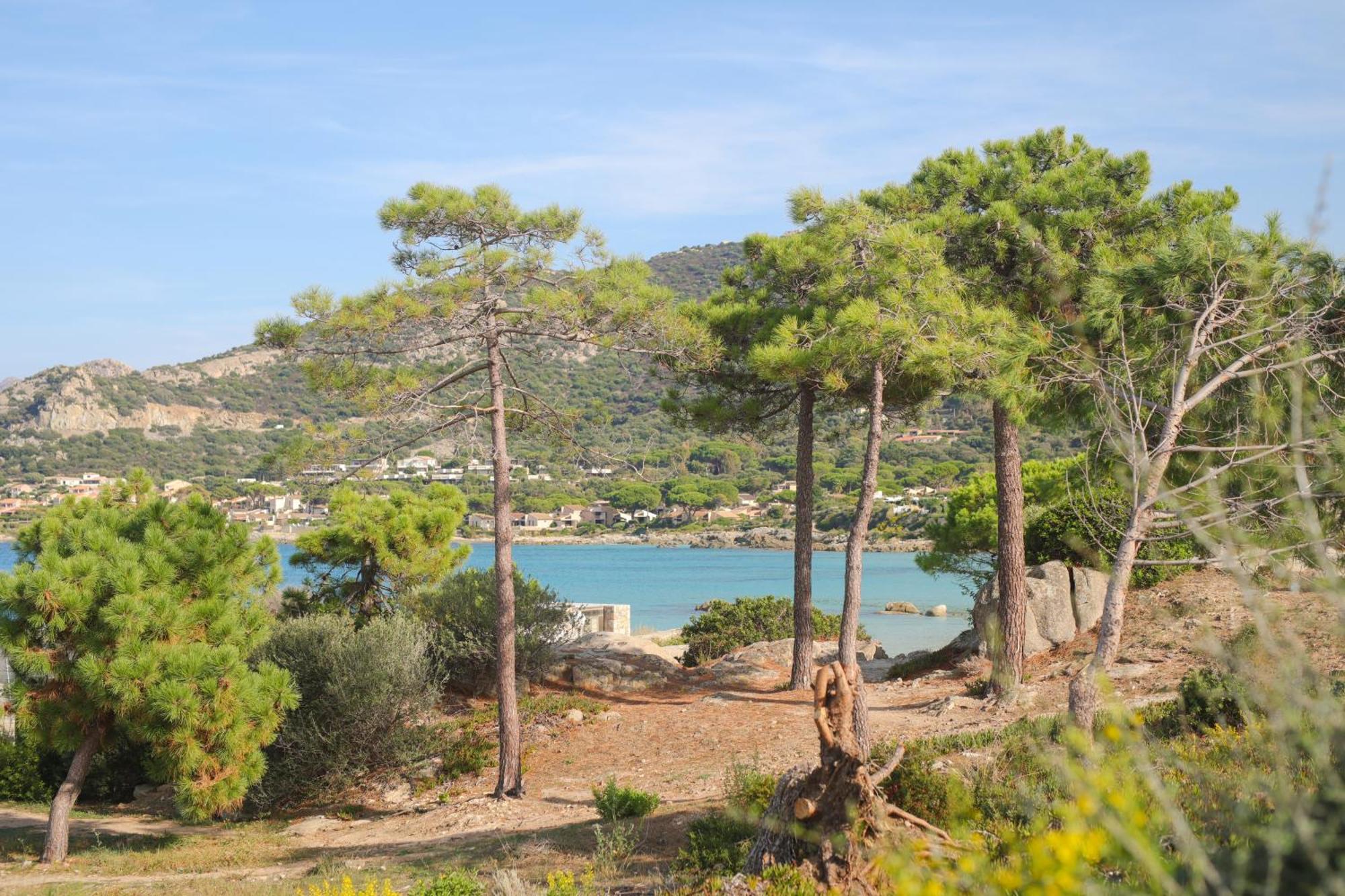 Appartement La Balagne , Bord De Mer, Grande Terrasse, Sant'Ambroggio Lumio  Bagian luar foto